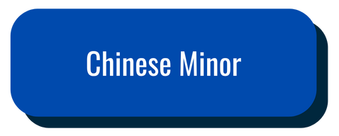 Chinese Minor